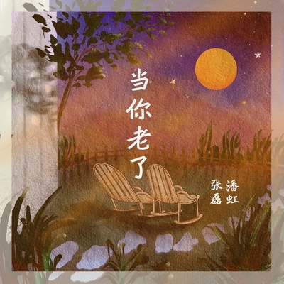 当你老了 - 张磊 / 潘虹封面