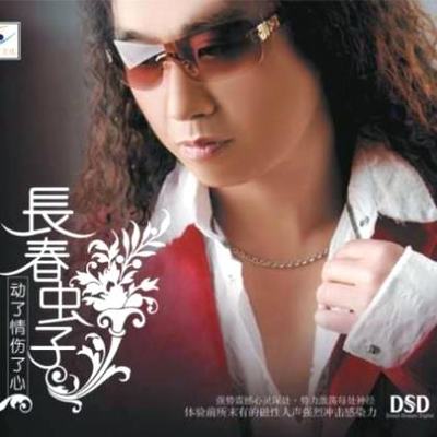 动了情伤了心封面
