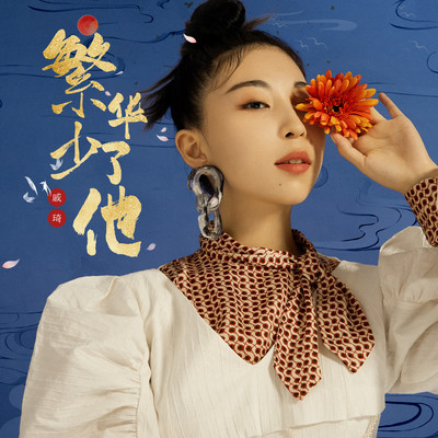 繁华少了他封面