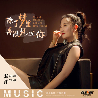 除了梦里再没见过你(DJ版伴奏) - 赵洋封面