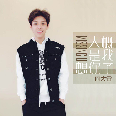 大概是我想你了(伴奏)封面
