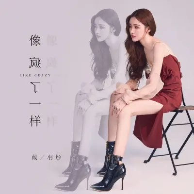 像疯了一样封面