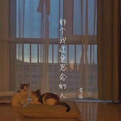 那个我过分思念的人封面