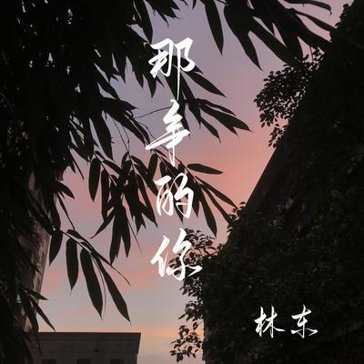 那年的你封面