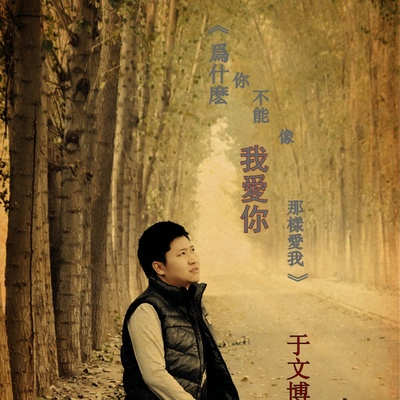 为什么你不能像我爱你那样爱我封面
