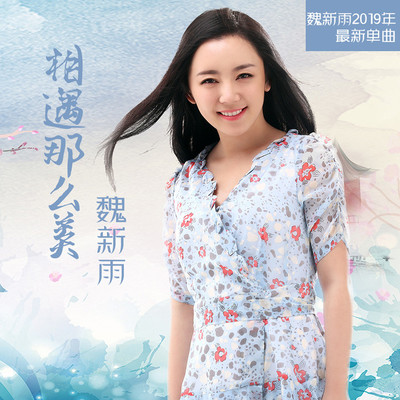 相遇那么美(伴奏)封面