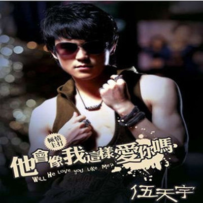 伤心只为你 - 伍天宇封面