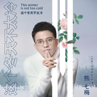这个冬天不太冷封面
