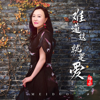 难道这就是爱 (伴奏)封面