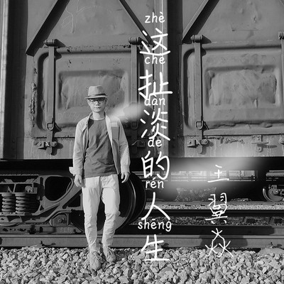 这扯淡的人生(DJ版伴奏)封面