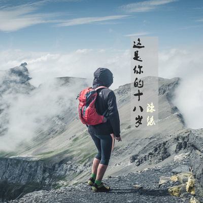 你是盔甲也是软肋封面