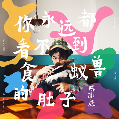 你永远都看不到食蚁兽的肚子封面