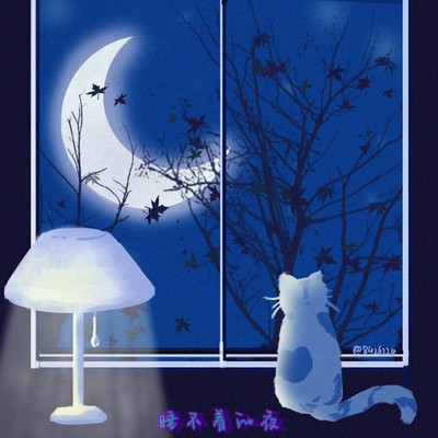 睡不着的夜封面