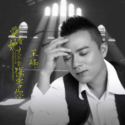 爱着她又不能伤害你(DJ何鹏版)(DJ何鹏版)封面