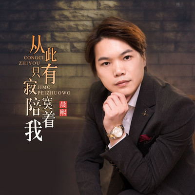 从此只有寂寞陪着我(伴奏)封面
