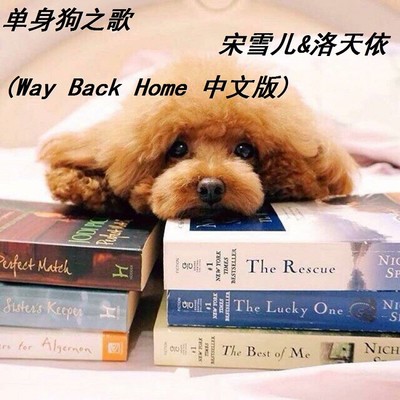 单身狗之歌 (Way Back Home中文版)封面