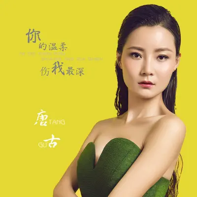 你的温柔伤我最深封面