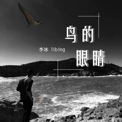 鸟的眼睛封面
