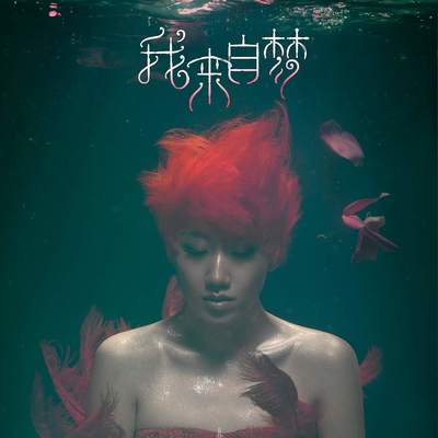 我来自梦 - 孟楠封面