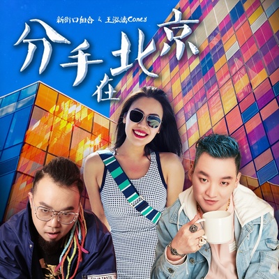 分手在北京 - 新街口组合 / 王弘漓封面