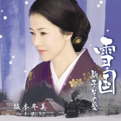 青い蝶になれ封面