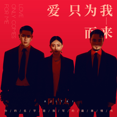 爱只为我而来封面