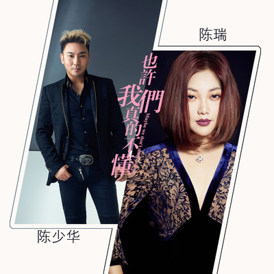 也许我们真的不懂 - 陈瑞 / 陈少华封面