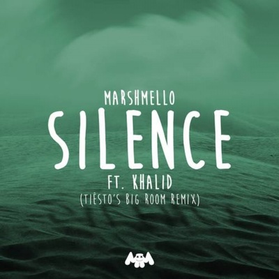 Silence (Tiesto's Big Room Remix)封面