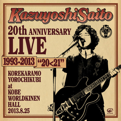 月の向こう側（20周年Live at 神戸ワールド記念ホール 2013.8.25） - 斉藤和義封面