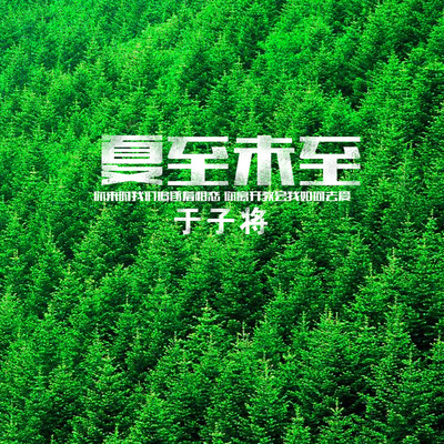 夏至未至封面