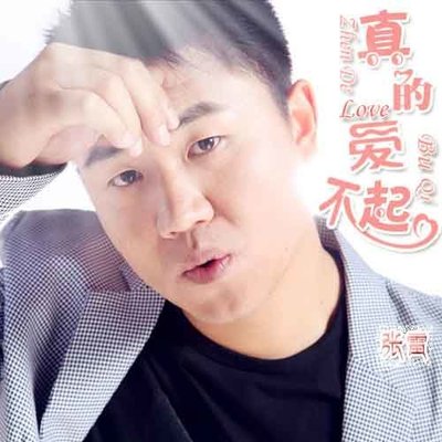 真的爱不起封面