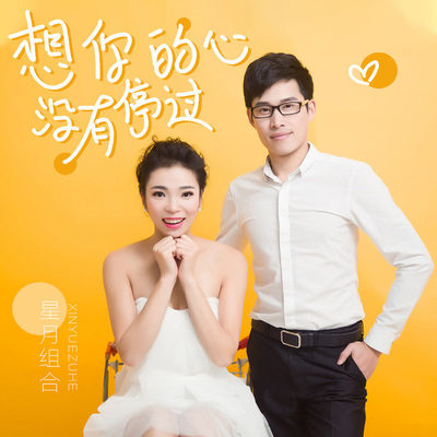 想你的心没有停过 (伴奏)封面