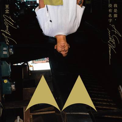 年华 (Feat 安卓雅)封面
