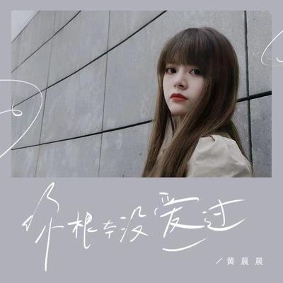 你根本没爱过封面