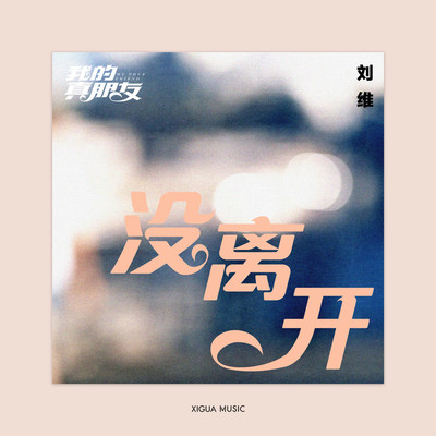 没离开(电视剧《我的真朋友》插曲)封面