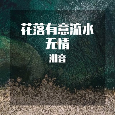 醉梦蝶封面