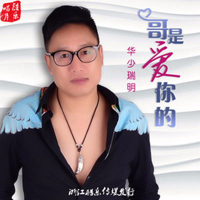 哥是爱你的封面