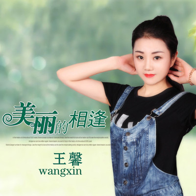 美丽的相逢封面