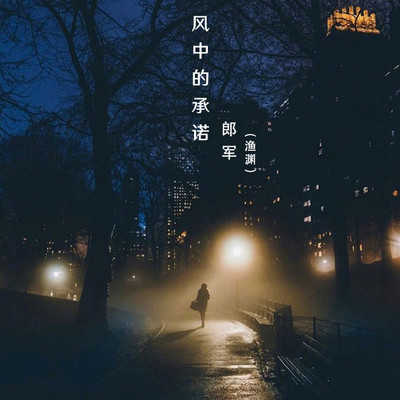 风中的承诺封面