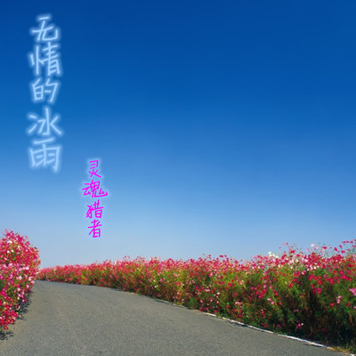 无情的冰雨封面