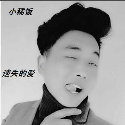 遗失的爱(伴奏) - 小稀饭封面