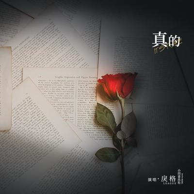 真的封面