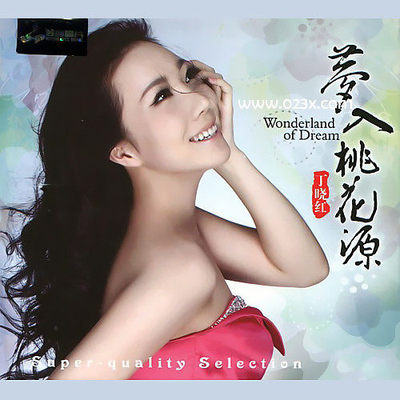 几多愁 - 丁晓红封面