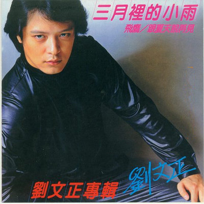 跟夏天说再见 - 刘文正封面