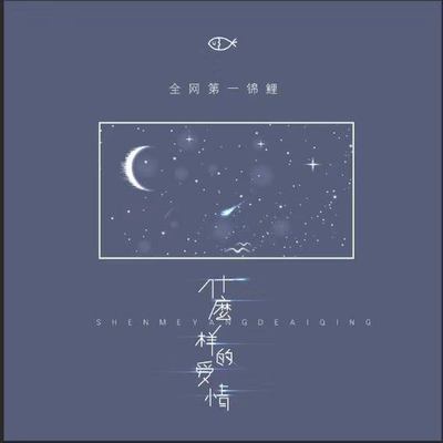 什么样的爱情（伴奏）封面