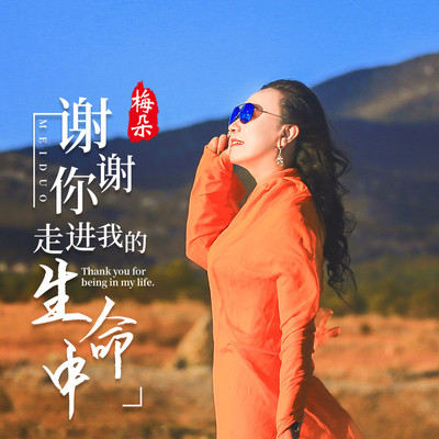 谢谢你走进我的生命中（DJ伟然版伴奏）封面