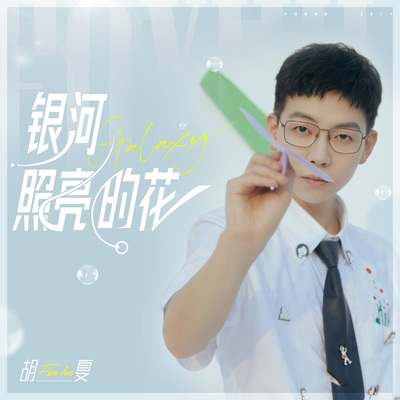 银河照亮的花 - 胡夏封面