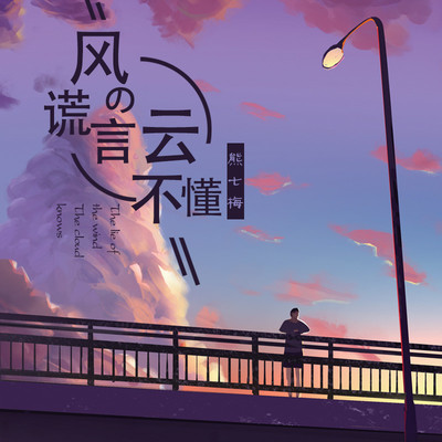 风的谎言云不懂 (Dj沈念版) - 熊七梅封面