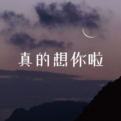 真的想你啦封面