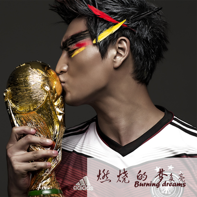 燃烧的梦封面